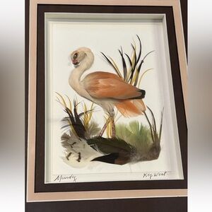 Vintage A. Mendez Dimension Flamingo Feather Art Framed Shadow Box Key West